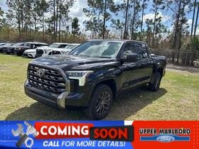 2023 Toyota Tundra 4WD Platinum