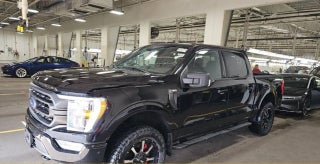 2023 Ford F-150 XLT SPORT V8