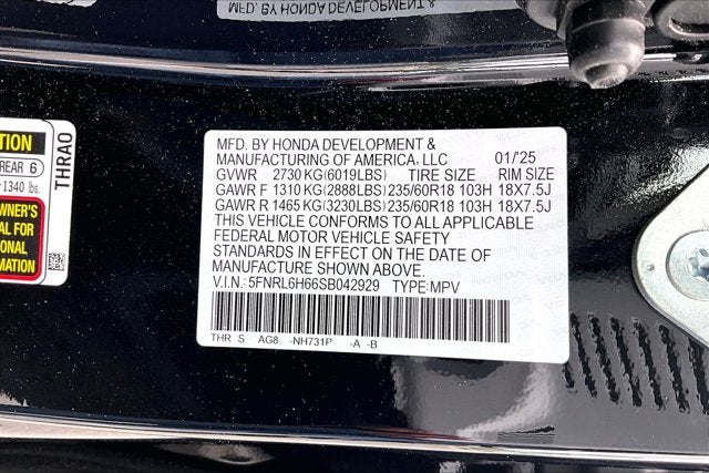 2025 Honda Odyssey EX-L