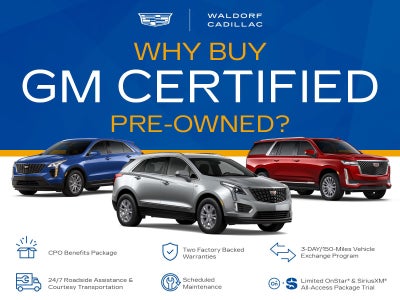 2018 Acura RDX w/Advance Pkg